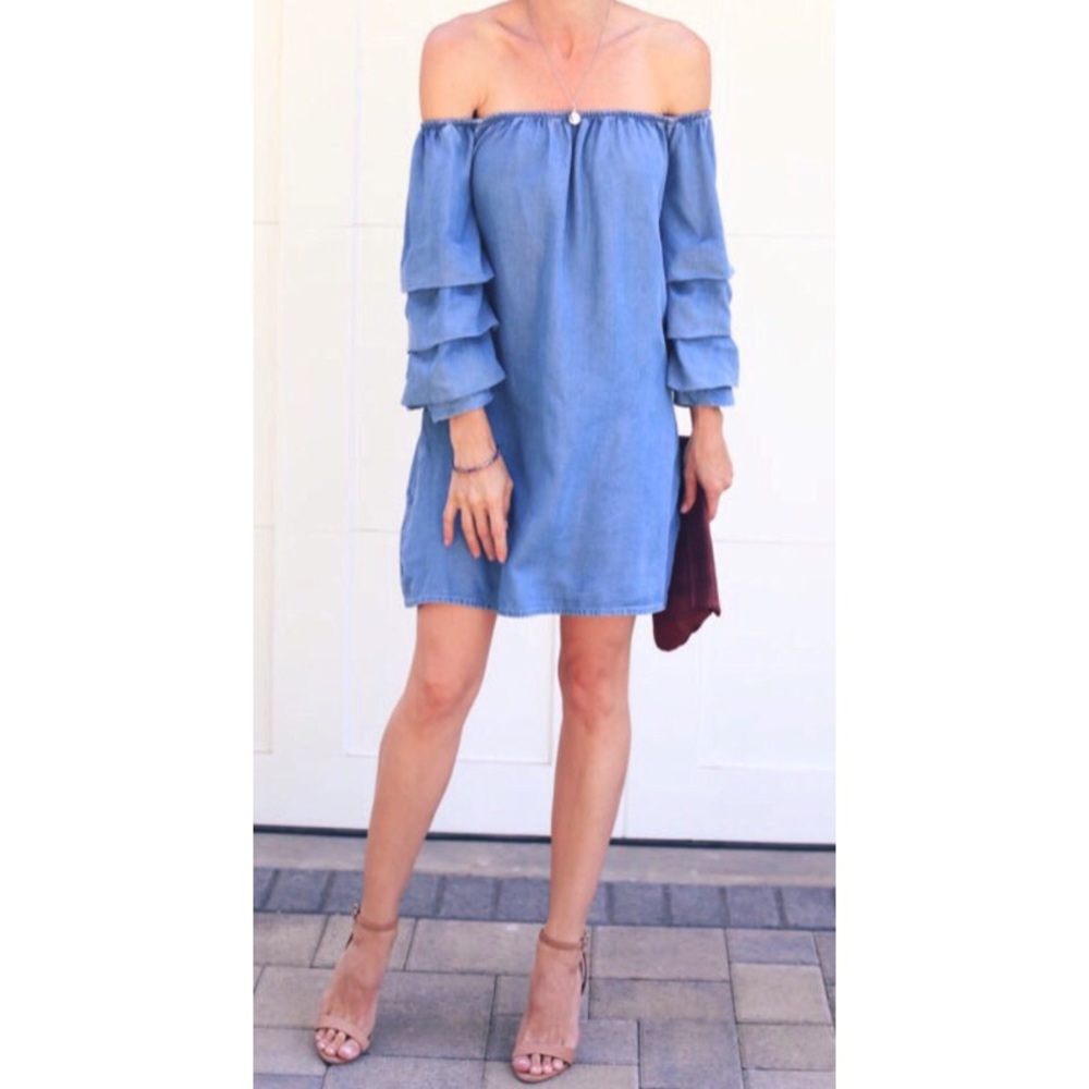 Cherie Chambray Dress - Picture 2 of 3
